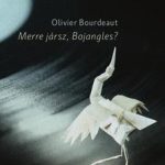 Olivier Bourdeaut: Merre jársz, Bojangles?