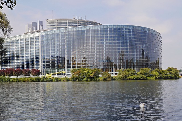 európai parlament