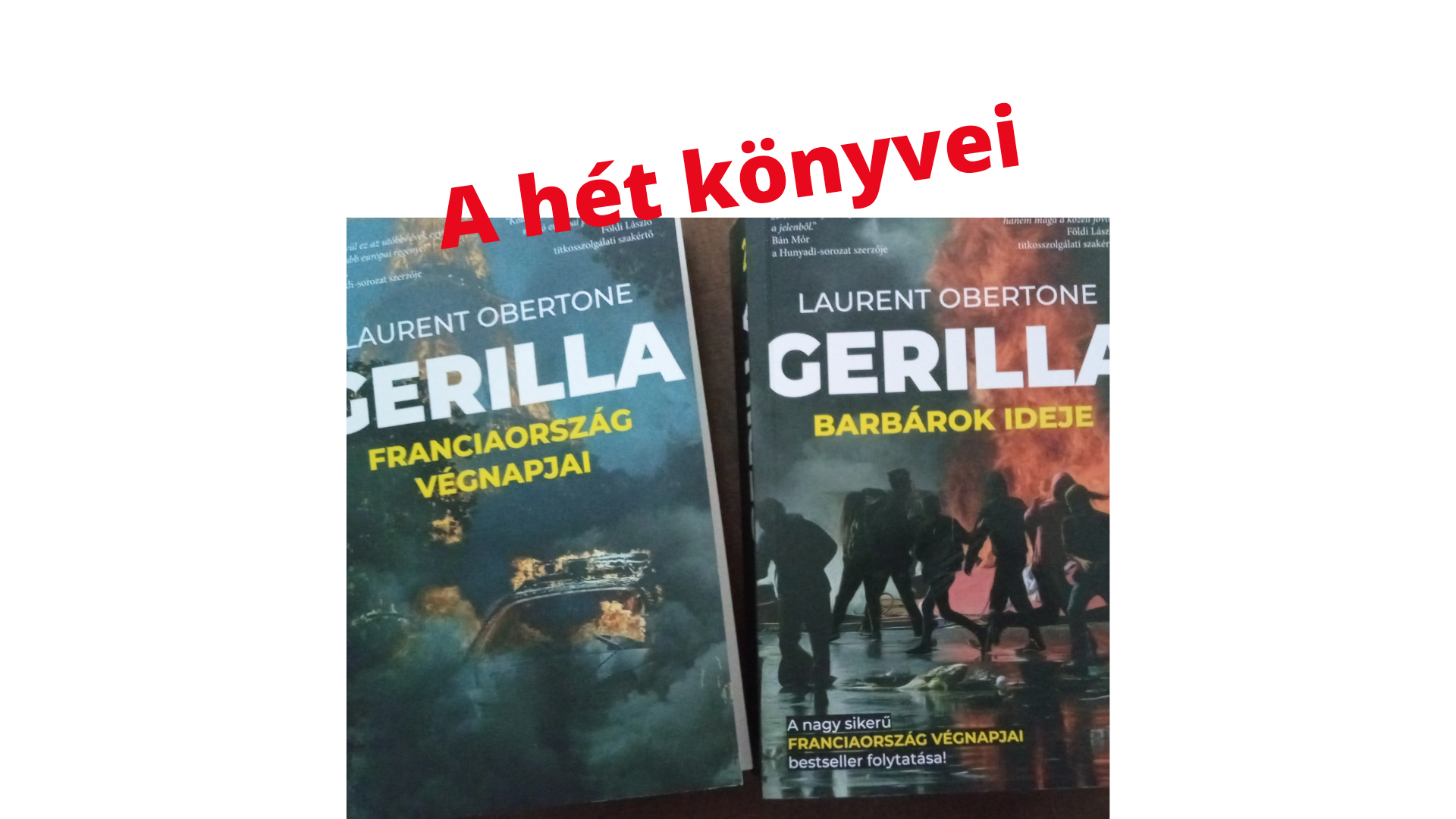 Egy jó ötlet, egy fontos téma, egy hosszú saga, ami néhol csak nyomorpornó (A hét könyve: Laurent Obertone Gerillája)